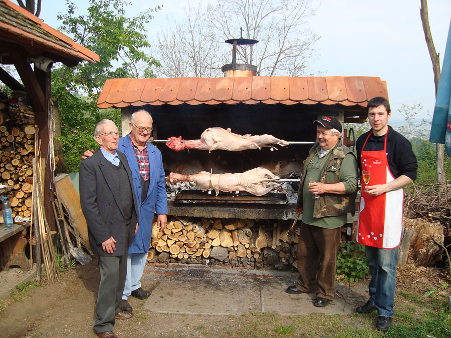 Skup&scaron;tina 2011.