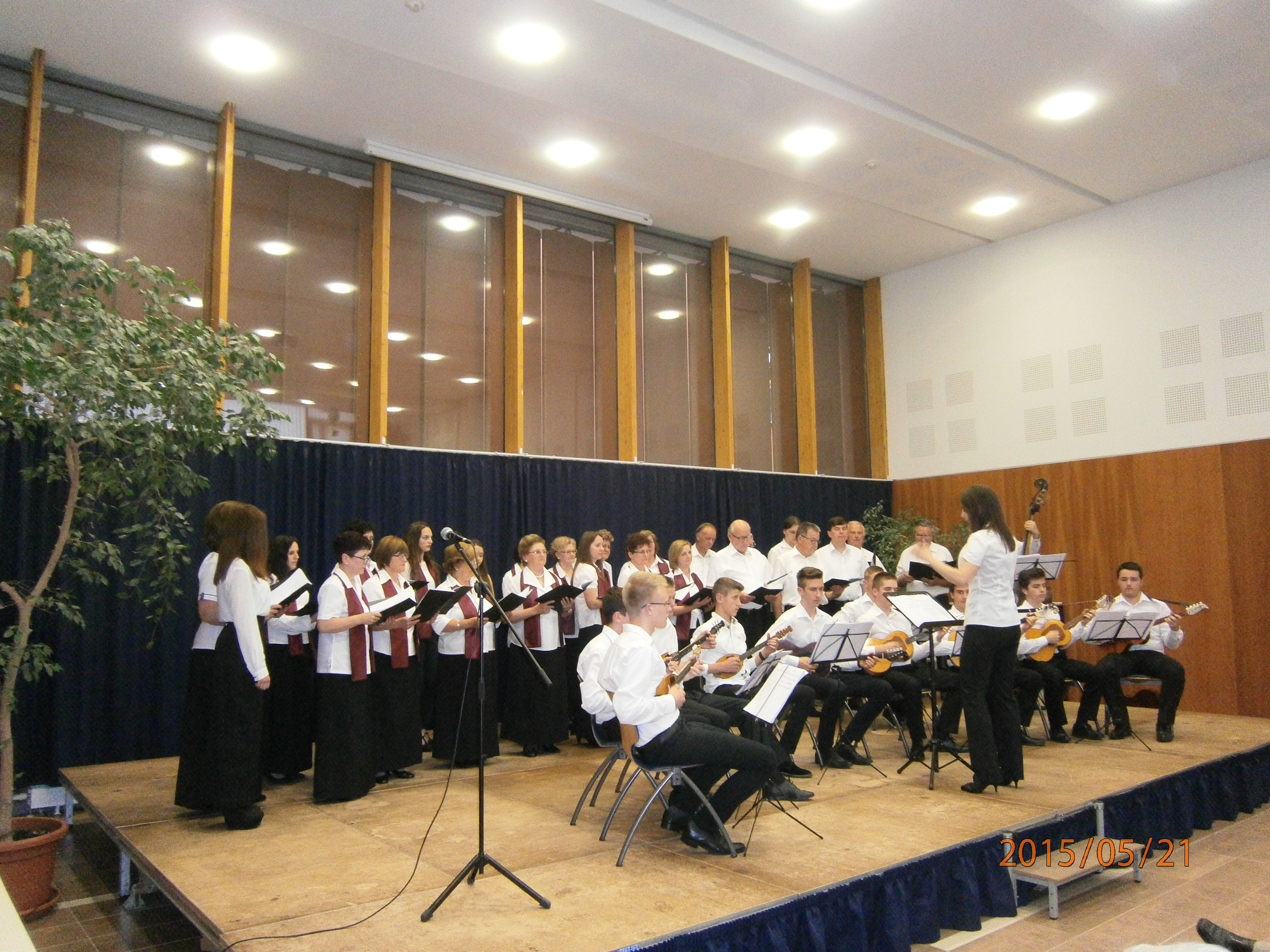 Uzvratni koncert u Pe�uhu