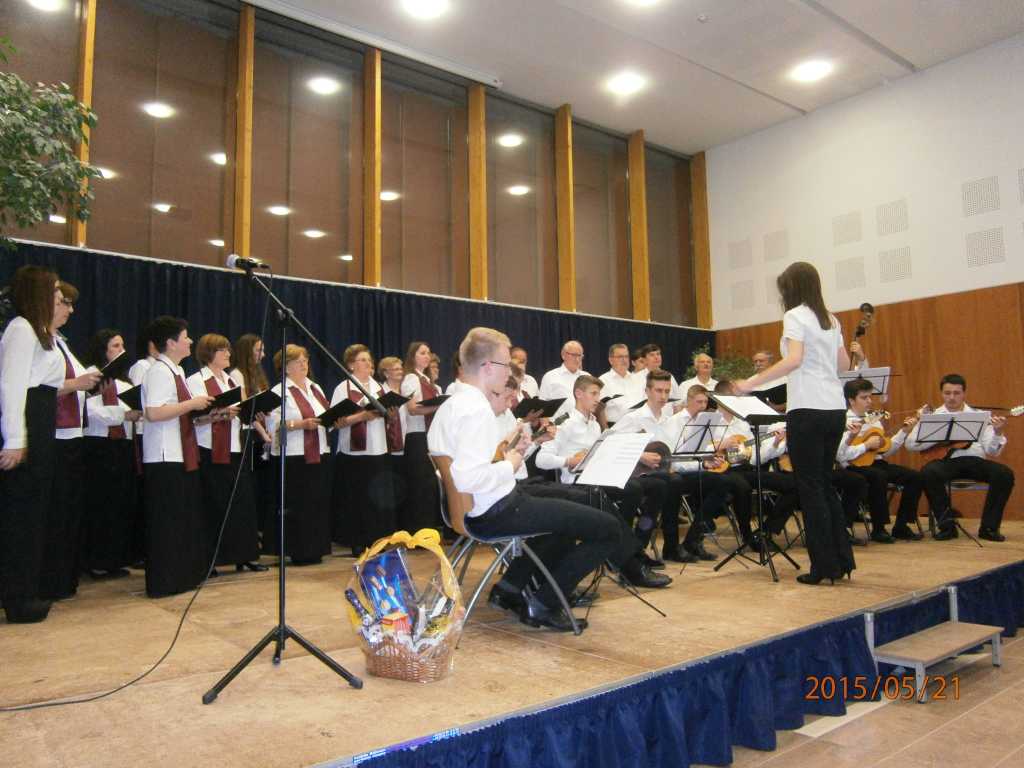 Uzvratni koncert u Pe�uhu